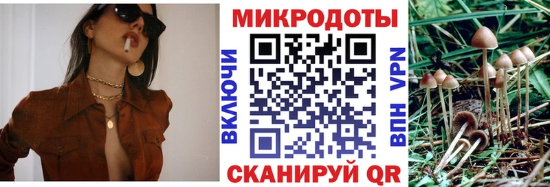 Псилоцибиновые грибы Psilocybine cubensis  Полевской 